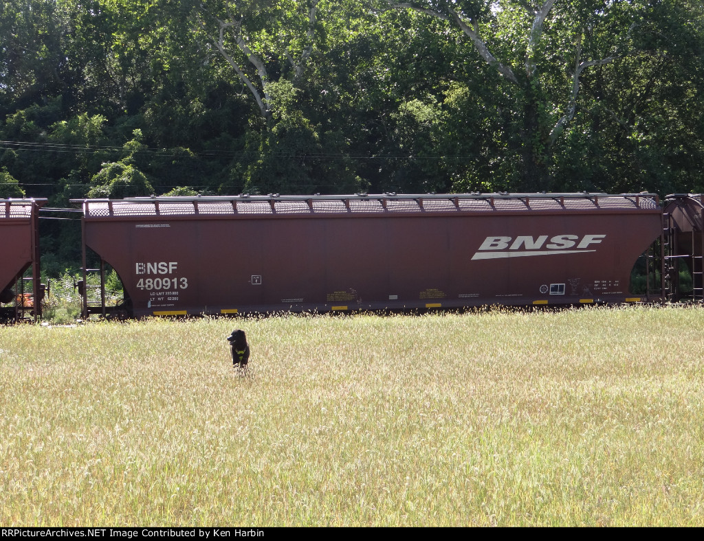 BNSF 480913